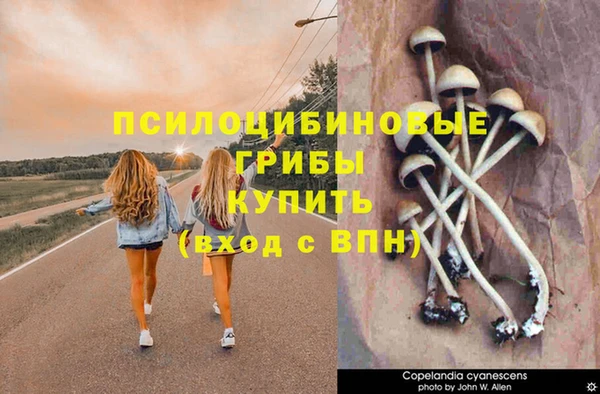 гашишное масло Вязьма