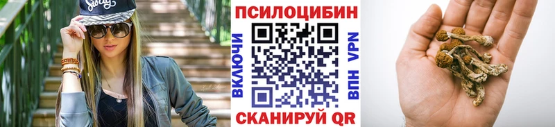 Псилоцибиновые грибы мухоморы купить наркоту ссылка на мегу вход Елец