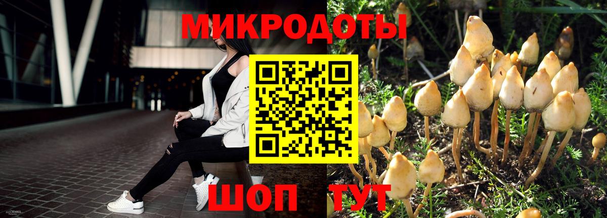 Галлюциногенные грибы мухоморы Елец