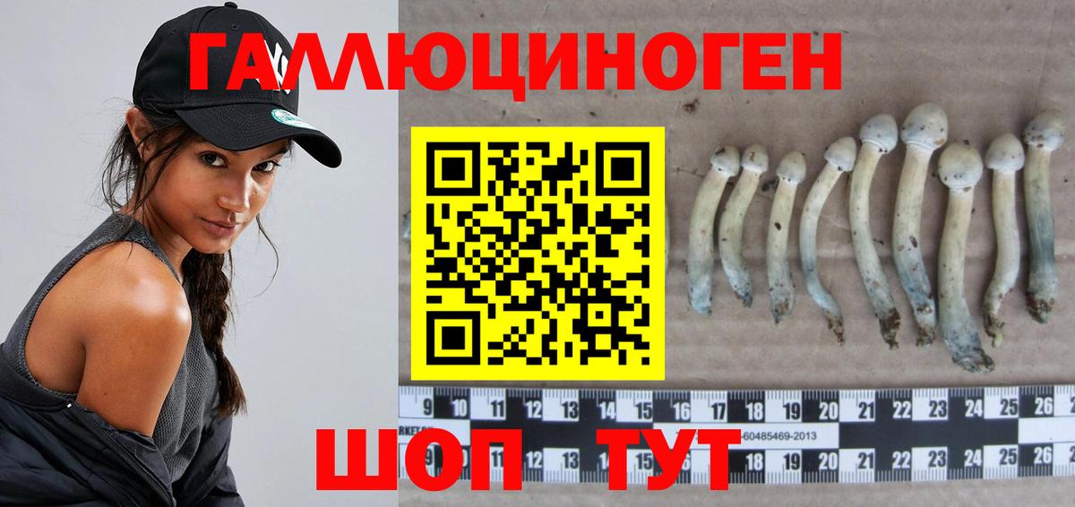 дарнет шоп  Галлюциногенные грибы MAGIC MUSHROOMS  Вход с VPN  Елец  Галлюциногенные грибы Psilocybine cubensis 